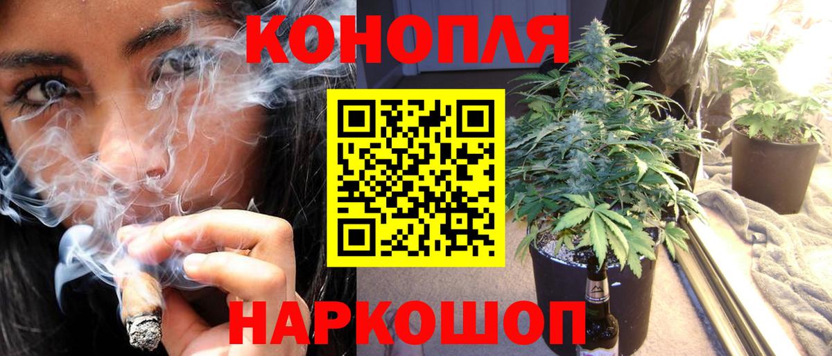 Бошки марихуана SATIVA & INDICA Канаш